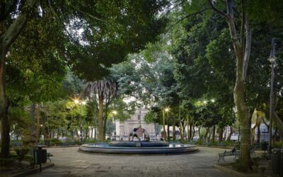 Jardín Centenario: The Iconic Plaza of the Coyote Fountain in Coyoacán